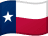 Texas flag